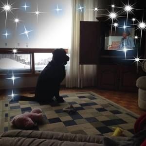 Meet your Posher, Sherry